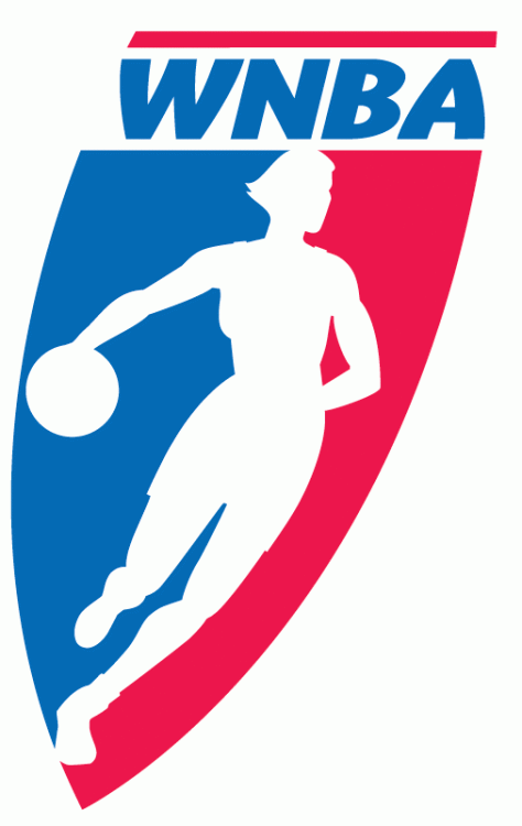 WNBA 1997-2012 Primary Logo iron on heat transfer